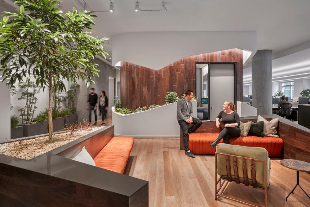 Oak - Plank Flooring