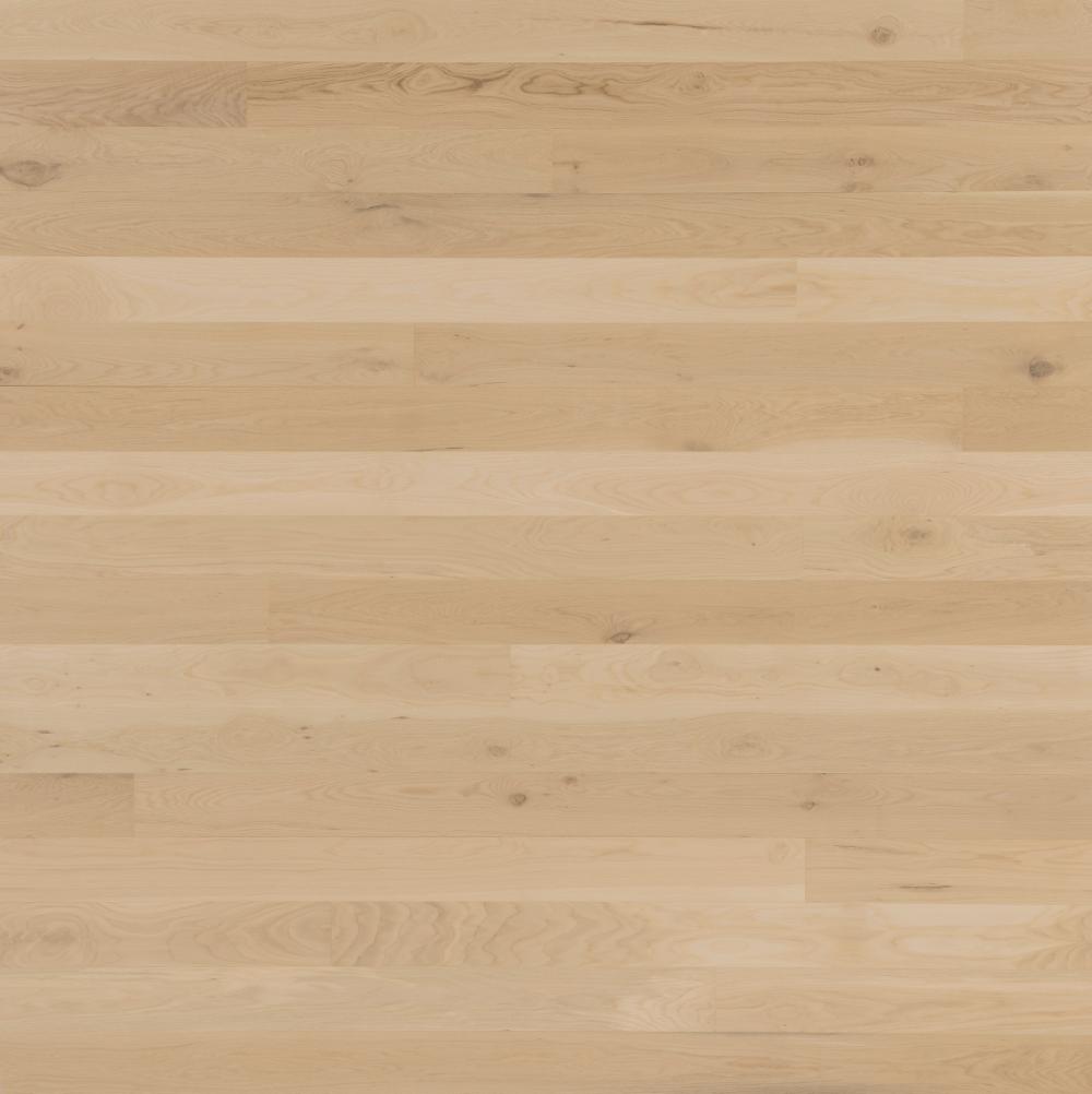 BLACK FRIDAY | 20,5 x 140 mm Textured Oak Nordic ultramatt lacquered | Plank floor
